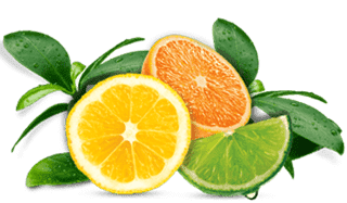 Air Wick Citrus Fragrances